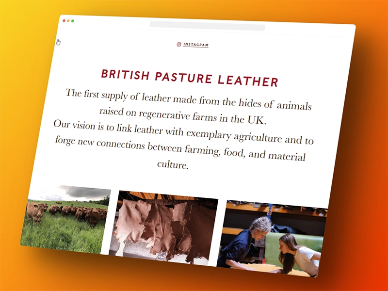 British Pasture Leather screenshot